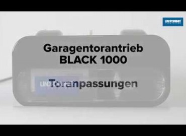 LINDPOINTNER Antrieb | BLACK 1000 - Auswahl Tortyp (DE)